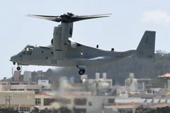 Máy bay MV-22 Osprey tại Căn cứ không quân Futenma. (Nguồn: Kyodo/TTXVN)