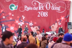 Sáng 3/2 tại Công viên Thống Nhất, một phiên chợ Tết đầy ý nghĩa được tổ chức - Phiên chợ Tết 0 đồng. (Ảnh: Minh Sơn/Vietnam+)