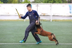 (Ảnh: Minh Sơn/Vietnam+)