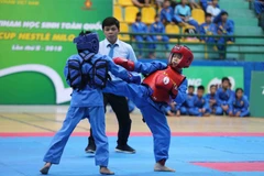 Một nội dung thi đấu đối kháng tại giải vô địch Vovinam Học sinh toàn quốc 2018. (Ảnh: PV/Vietnam+)