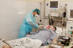 (Ảnh minh họa: Lâm Khánh/TTXVN)