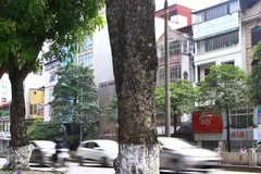 (Ảnh minh họa: Minh Quyết/TTXVN)