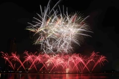 Cuộc thi trình diễn pháo hoa Đà Nẵng 2015. (Ảnh: Trần Lê Lâm/TTXVN)