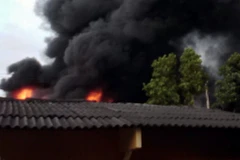 (Ảnh minh họa: Tuấn Anh/TTXVN phát)