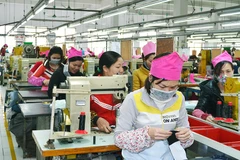 Công ty Everbest Việt Nam bất ngờ công bố hoạt động trở lại 