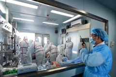 Bệnh nhân nhiễm virus H7N9 được điều trị tại một bệnh viện ở Vũ Hán, Hồ Bắc (Trung Quốc) ngày 12/2. (Nguồn: AFP/TTXVN)