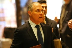 Ông Scott Pruitt tới gặp Tổng thống Donald Trump tại New York. (Nguồn: AFP/TTXVN)