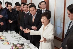 Tổng thống Hàn Quốc Park Geun-hye trong cuộc gặp báo giới ở Seoul ngày 1/1. (Nguồn: YONHAP/TTXVN)