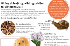 Những sinh vật ngoại lai nguy hiểm tại Việt Nam (Phần 2)