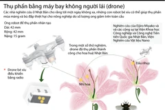 [Infographics] Máy bay không người lái có thể thay thế loài ong