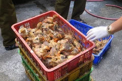 (Ảnh minh họa: Việt Hùng/TTXVN)