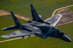 Máy bay MiG-29 của Không lực Ba Lan trình diễn tại căn cứ không quân Siauliai ở Litva ngày 15/5/2014. (Nguồn: EPA/TTXVN)