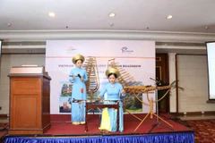 Tiết mục văn nghệ mang bản sắc Việt Nam tại Hội thảo. (Ảnh: Huy Bình/Vietnam+)