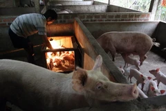 Xóa đói giảm nghèo - Thành tựu trong bảo đảm quyền con người