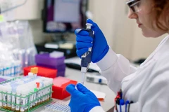 Các nhà nghiên cứu Israel phát triển thuật toán chẩn đoán ung thư