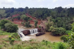 (Ảnh: Hưng Thịnh/TTXVN)