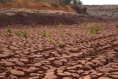 Ai sẽ giám sát kế hoạch chống biến đổi khí hậu của các quốc gia?