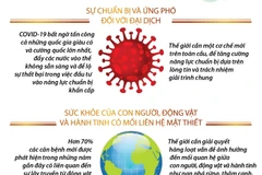 [Infographics] WHO nêu bật 3 bài học từ đại dịch COVID-19