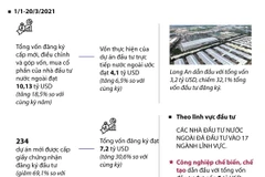 [Infographics] 234 dự án mới được cấp giấy chứng nhận đăng ký đầu tư
