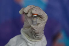 (Nguồn: kompas.com)