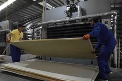 (Ảnh: Vũ Sinh/TTXVN)