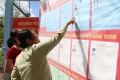 (Ảnh: Công Trí/TTXVN)