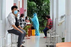 (Ảnh: Bùi Giang/TTXVN)