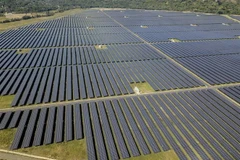 (Ảnh: Thanh Sang/TTXVN)