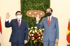 Thủ tướng Phạm Minh Chính và Tổng thống Indonesia Joko Widodo. (Ảnh: Dương Giang/TTXVN)