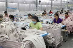 Hội Hữu nghị Nga-Việt: Đại hội XIII thành công trên nhiều phương diện