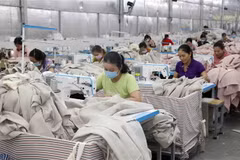 Hội Hữu nghị Nga-Việt: Đại hội XIII thành công trên nhiều phương diện