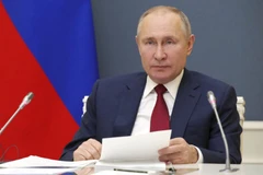 Tổng thống Nga Vladimir Putin. (Nguồn: TASS)