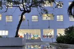 (Ảnh: Xuân Khu/TTXVN)