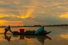 Những nét đẹp đặc trưng cuối mùa nước nổi ở Hậu Giang