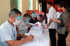 Thực hiện bầu cử thêm đại biểu hội đồng nhân dân tại phường Mỹ Xá, thành phố Nam Định. (Ảnh: Văn Đạt/TTXVN)