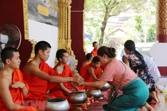 Ảnh minh họa. (Nguồn: Xuân Tú/TTXVN)