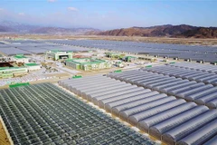 Yonhap: Kinh tế Triều Tiên sụt giảm mạnh do trừng phạt và đại dịch