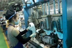 (Ảnh: Hoàng Hùng/TTXVN)