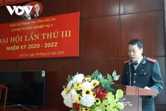 Ban Bí thư kịp thời xử lý nghiêm những cán bộ, đảng viên vi phạm 