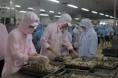 (Ảnh: Lê Huy Hải/TTXVN)