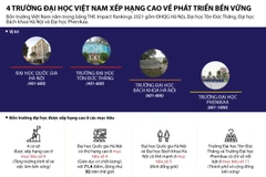 [Infographics] 4 đại học Việt vào bảng xếp hạng THE Impact Rankings