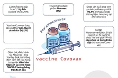 Indonesia cấp phép sử dụng vaccine ngừa COVID-19 của Novavax