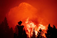 Khói lửa bốc lên tại đám cháy Coldor ở Twin Bridges, bang California, Mỹ ngày 29/8. (Ảnh: AFP/TTXVN)