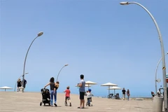 (Ảnh: Vũ Hội/TTXVN)