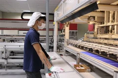 (Ảnh: Thái Hùng/TTXVN)