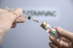 (Nguồn: brazilian.report)