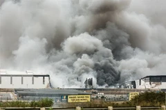 Tình hình bạo lực tiếp tục gây ảnh hưởng đến hoạt động ở Nam Phi