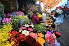 (Ảnh: Thành Đạt/TTXVN)