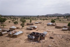 Tấn công thánh đường Hồi giáo tại Nigeria, ít nhất 9 người tử vong