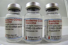EU cho phép tiêm vaccine COVID-19 của Moderna cho trẻ vị thành niên